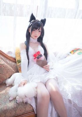 曰本v中文字幕一区二区-国产不卡高清免费观看